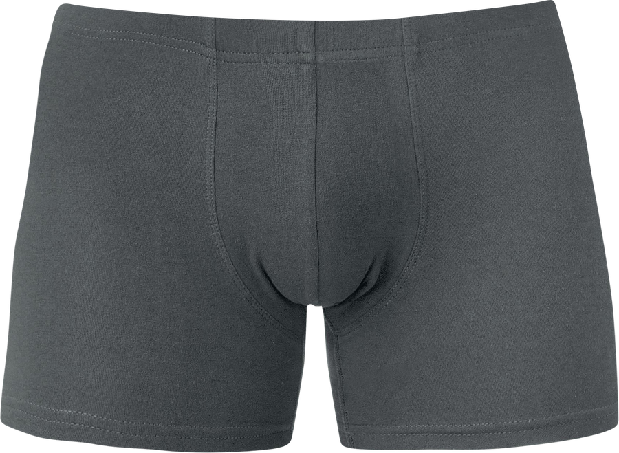 Трусы мужские ALFA р. M, L, XL, XXL, черный/серый, Арт. 6304С, предпросмотр