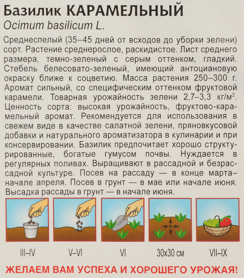 Семена ГАВРИШ Базилик Карамельный, 0,3г, превью