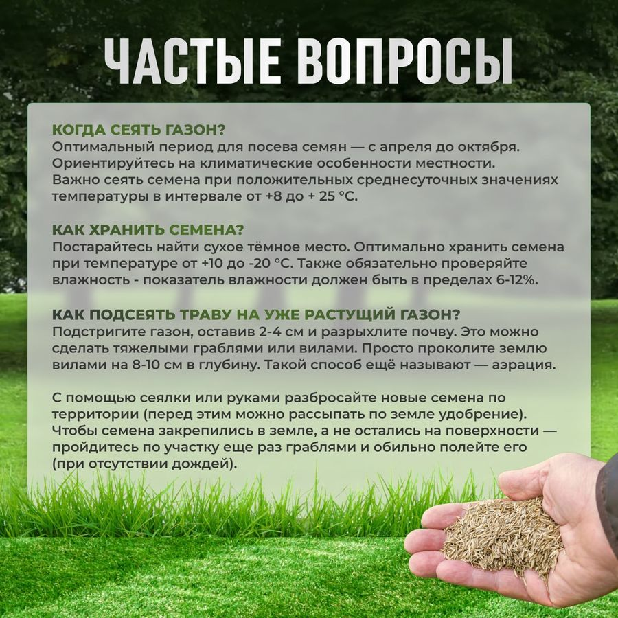 Газон Premium  Сила Суздаля 1 кг, превью