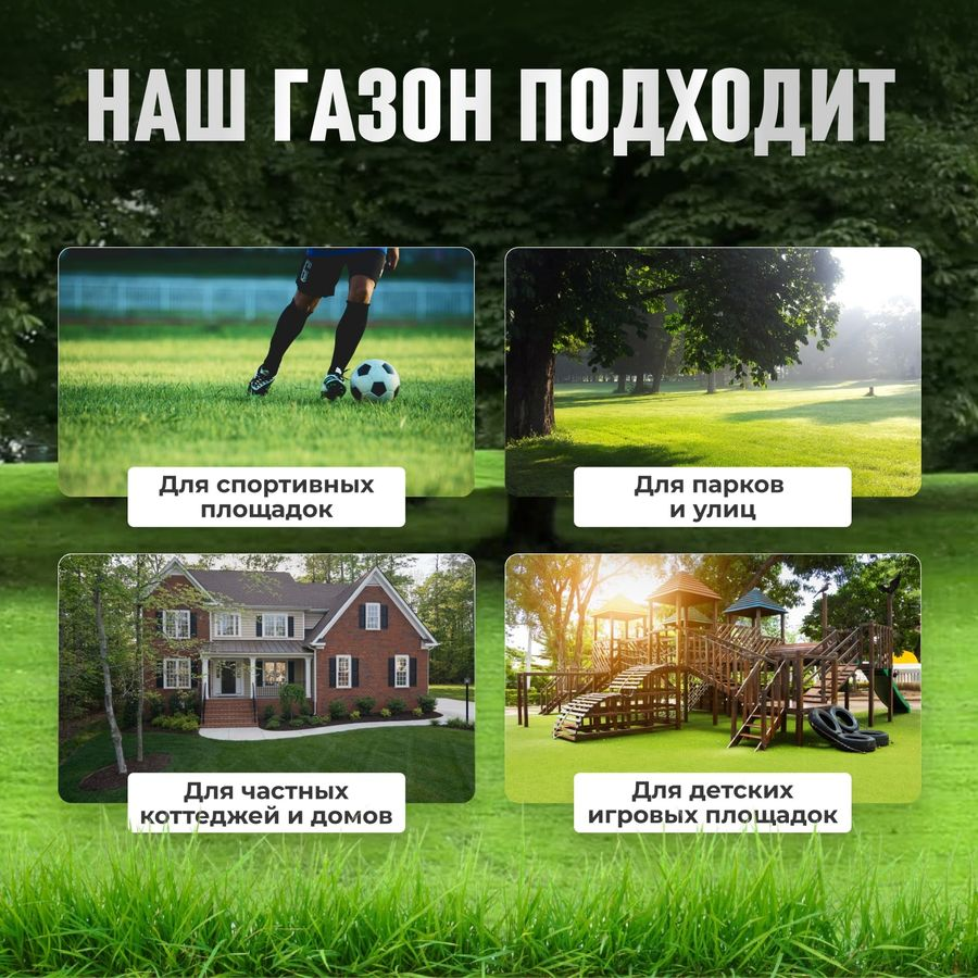 Газон Premium  Сила Суздаля 1 кг, предпросмотр