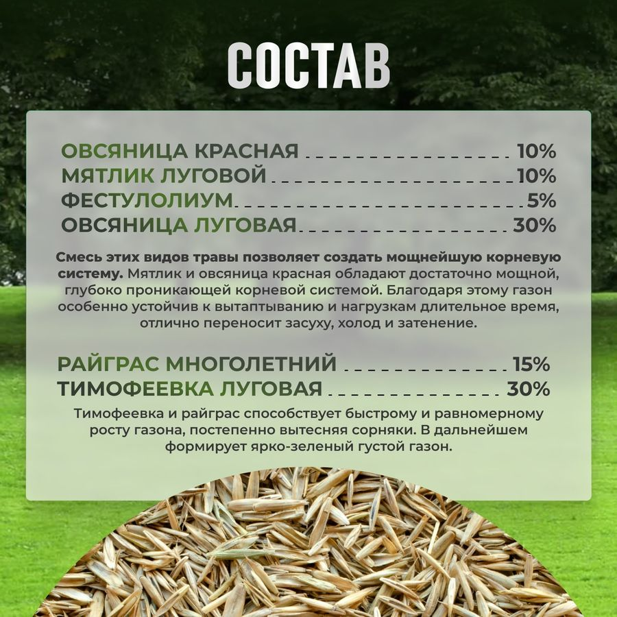 Газон Premium  Сила Суздаля 1 кг, превью