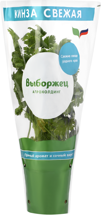 Кинза/кориандр, в горшочке, превью