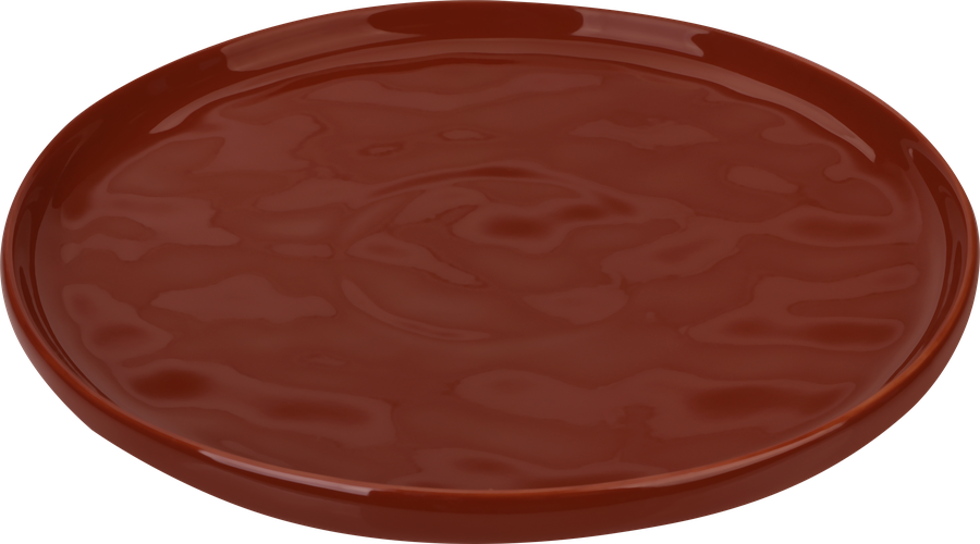 Тарелка обеденная HOMECLUB Brown 26см, Арт. CS67, предпросмотр