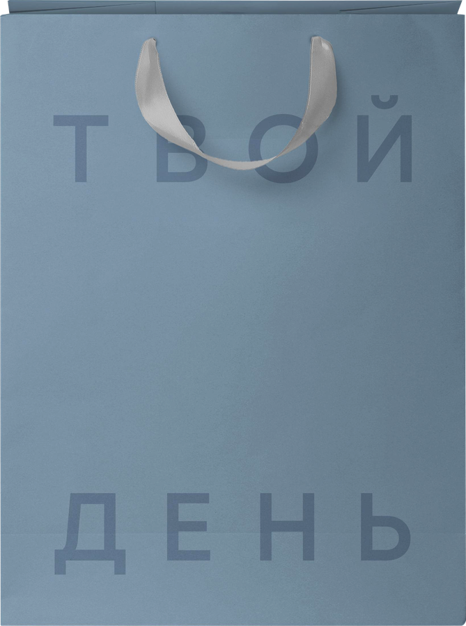 Пакет подарочный CITY HOME TRADE Basic Men 22,7х18х10см, 1шт, превью