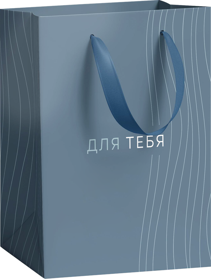 Пакет подарочный CITY HOME TRADE Basic Men 31,5х25,5х11см, 1шт, предпросмотр