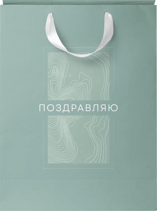 Пакет подарочный CITY HOME TRADE Basic Men 31,5х25,5х11см, 1шт, предпросмотр