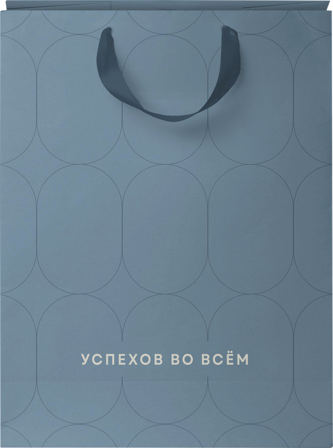 Пакет подарочный CITY HOME TRADE Basic Men 31,5х25,5х11см, 1шт, превью