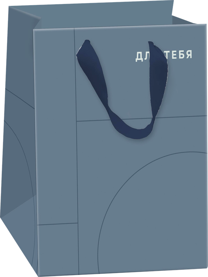 Пакет подарочный CITY HOME TRADE Basic Men 41х31х10см, 1шт, превью