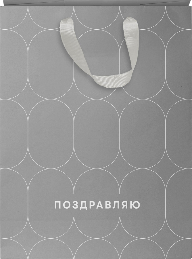 Пакет подарочный CITY HOME TRADE Basic Men 22,7х18х10см эффект, 1шт, превью