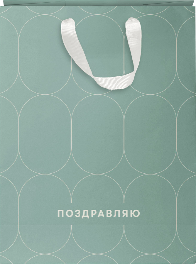 Пакет подарочный CITY HOME TRADE Basic Men 25,5х31,5х11см эффект, 1шт, предпросмотр
