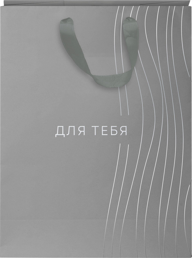 Пакет подарочный CITY HOME TRADE Basic Men 25,5х31,5х11см эффект, 1шт, превью