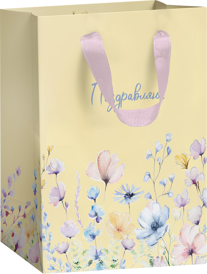 Пакет подарочный CITY HOME TRADE Home spring 22,7х18х10см эффект, 1шт, превью