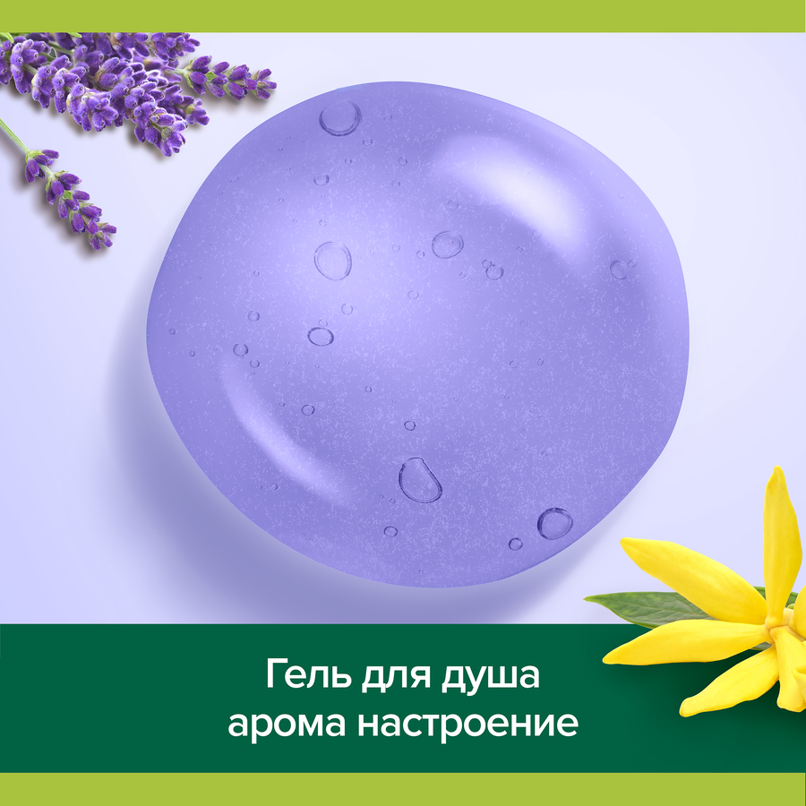 Гель для душа PALMOLIVE Арома настроение, 250мл, превью