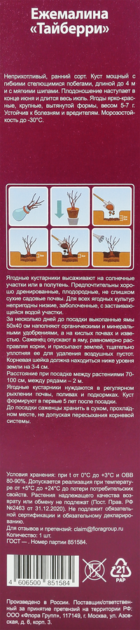 Саженец Ежемалина, микс, шт, превью