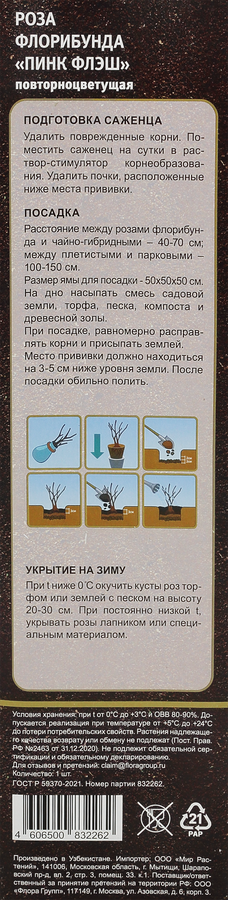 Саженец Роза, микс №1, шт, предпросмотр