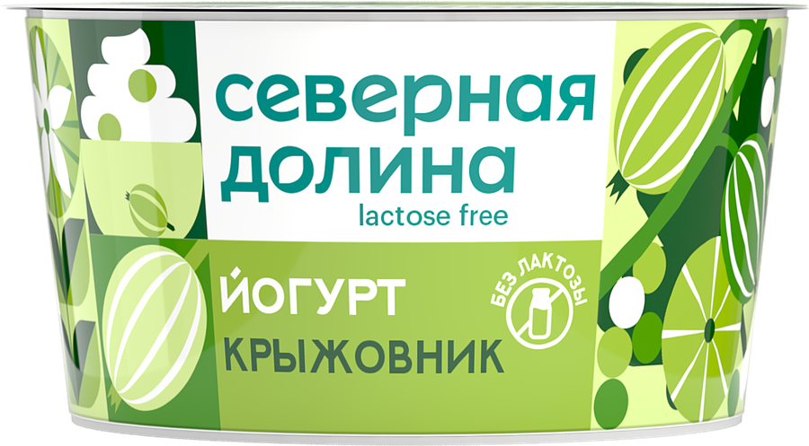 Йогурт СЕВЕРНАЯ ДОЛИНА Крыжовник безлактозный 2,8%, без змж, 130г, предпросмотр