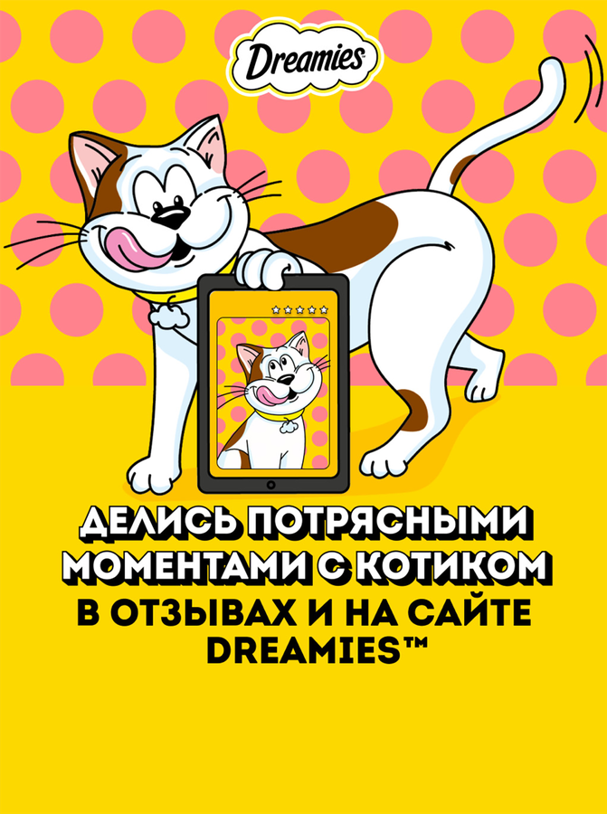 Лакомство для кошек DREAMIES с говядиной, 60г, предпросмотр
