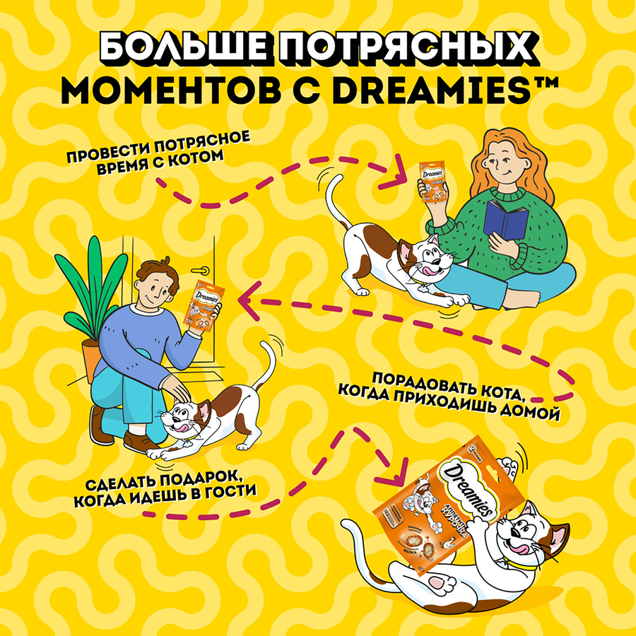 Лакомство для кошек DREAMIES с курицей, 60г, предпросмотр