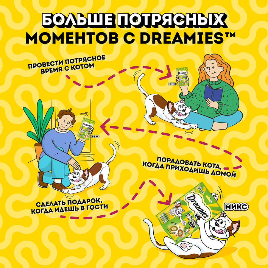 Лакомство для кошек DREAMIES Mix (Микс) курица, кошачья мята, 60г, предпросмотр