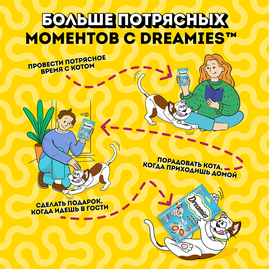 Лакомство для кошек DREAMIES с лососем, 60г, предпросмотр