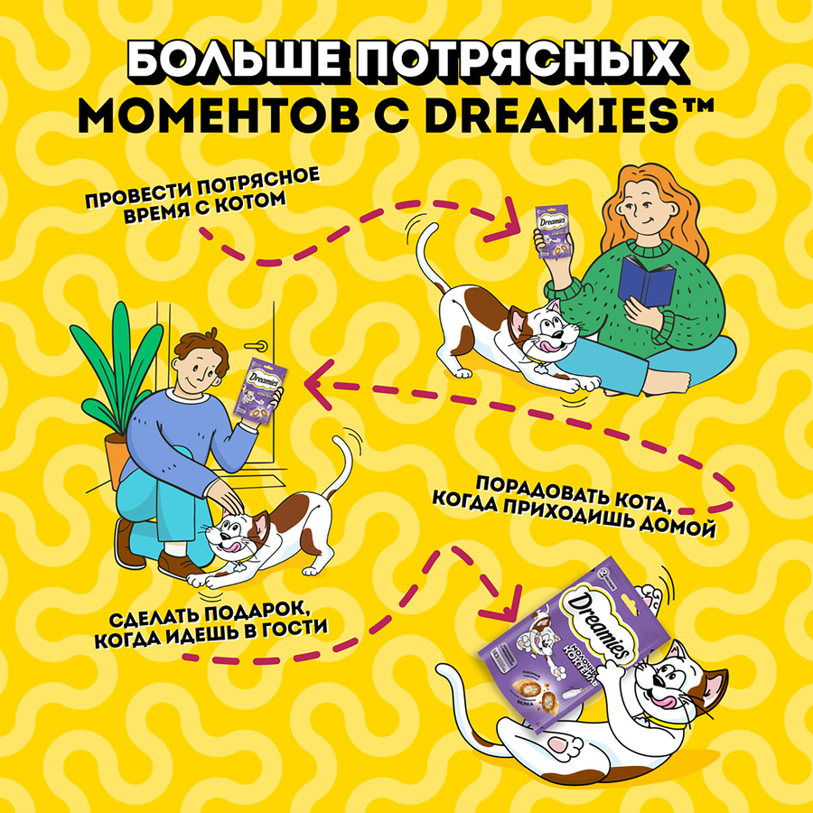 Лакомство для кошек DREAMIES с добавлением молока, 60г, превью