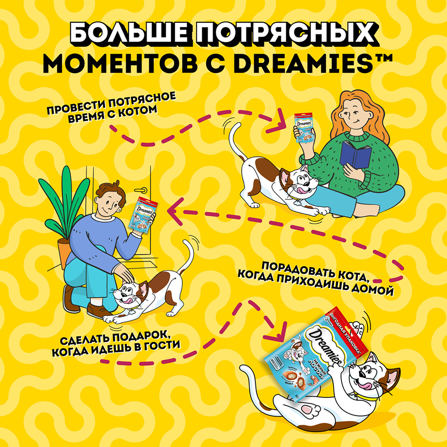 Лакомство для кошек DREAMIES с лососем, 140г, превью
