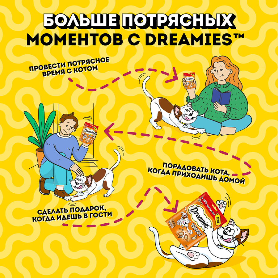 Лакомство для кошек DREAMIES с курицей, 200г, превью