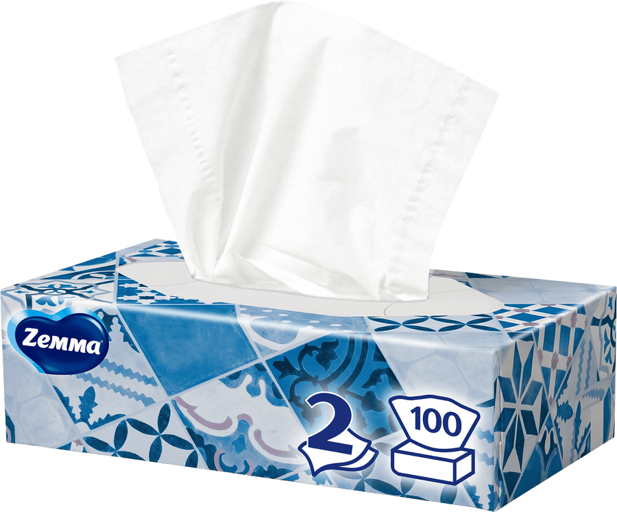 Салфетки бумажные ZEMMA Everyday 2 слоя, в коробке, 100шт, превью