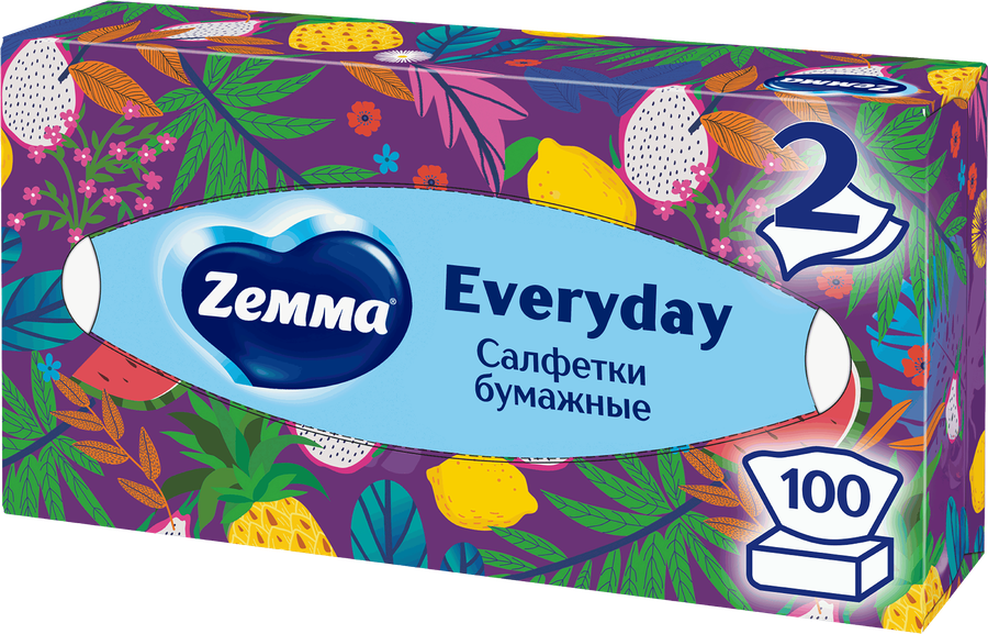Салфетки бумажные ZEMMA Everyday 2 слоя, в коробке, 100шт, предпросмотр