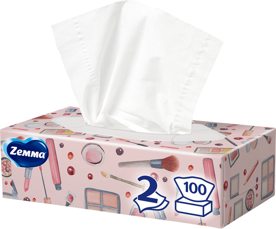 Салфетки бумажные ZEMMA Everyday 2 слоя, в коробке, 100шт, предпросмотр