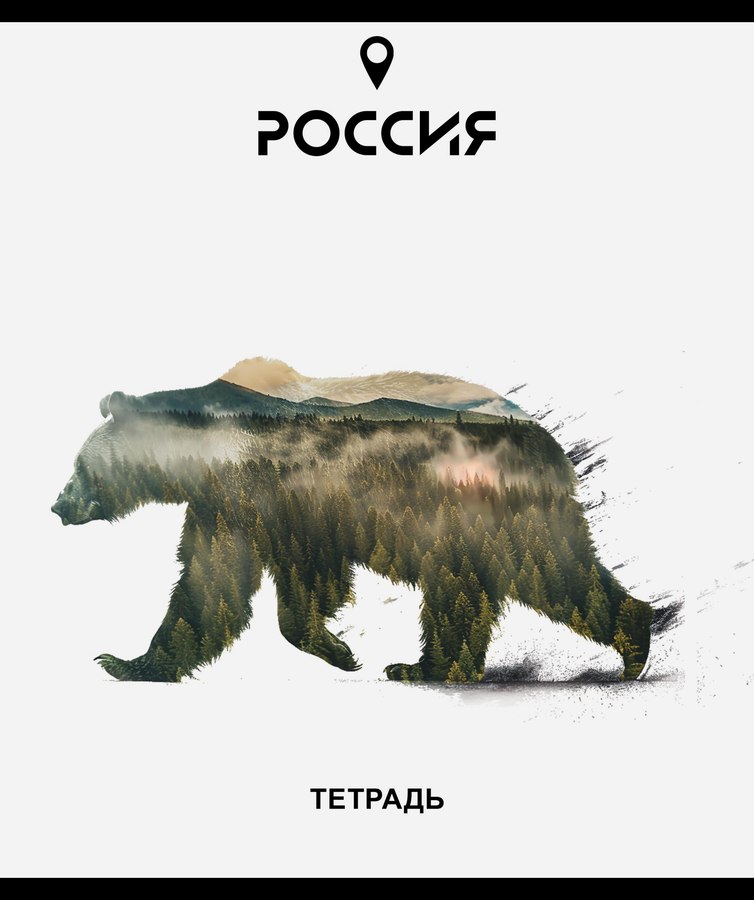 Тетрадь общая ПЗБМ Место силы, 48 листов, А5, на скрепке, в клетку, Арт. 023294, предпросмотр
