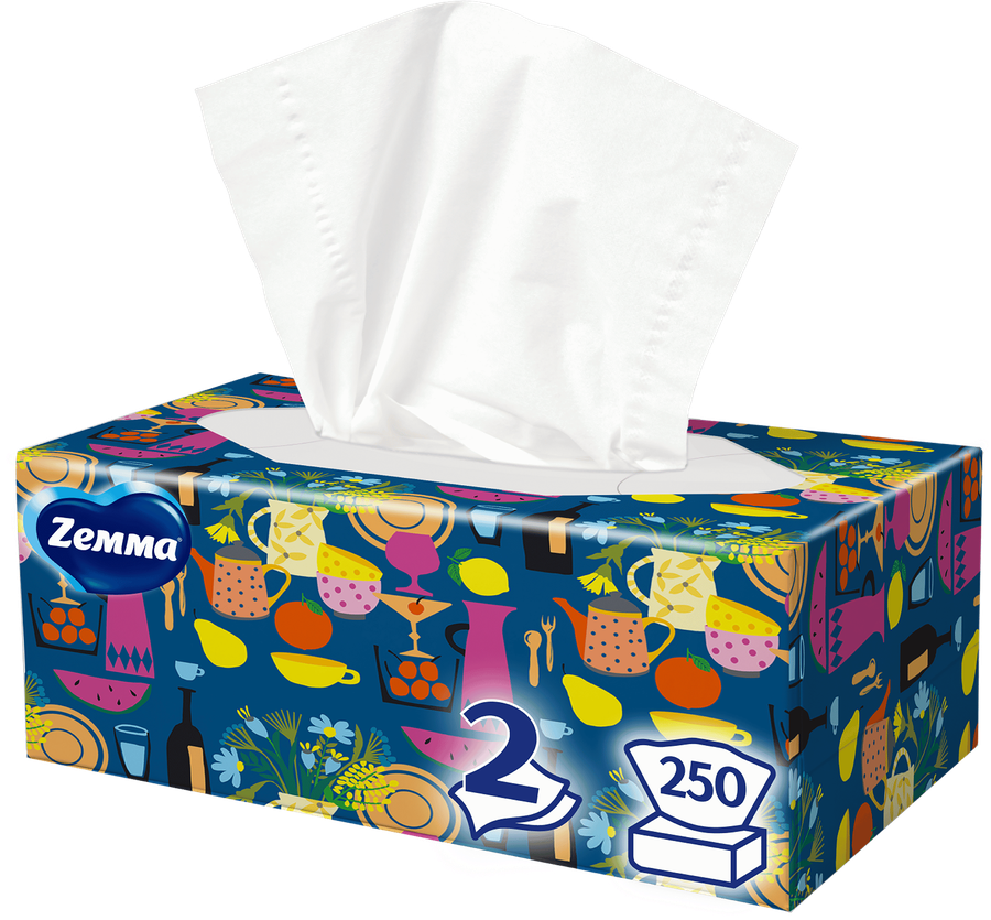 Салфетки бумажные ZEMMA Everyday 2 слоя, в коробке, 250шт, превью