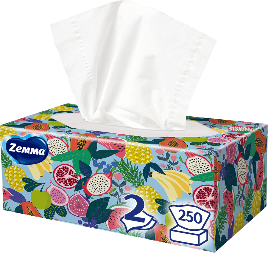 Салфетки бумажные ZEMMA Everyday 2 слоя, в коробке, 250шт, предпросмотр