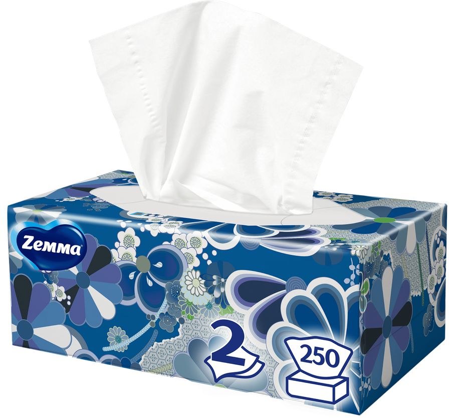 Салфетки бумажные ZEMMA Everyday 2 слоя, в коробке, 250шт, предпросмотр