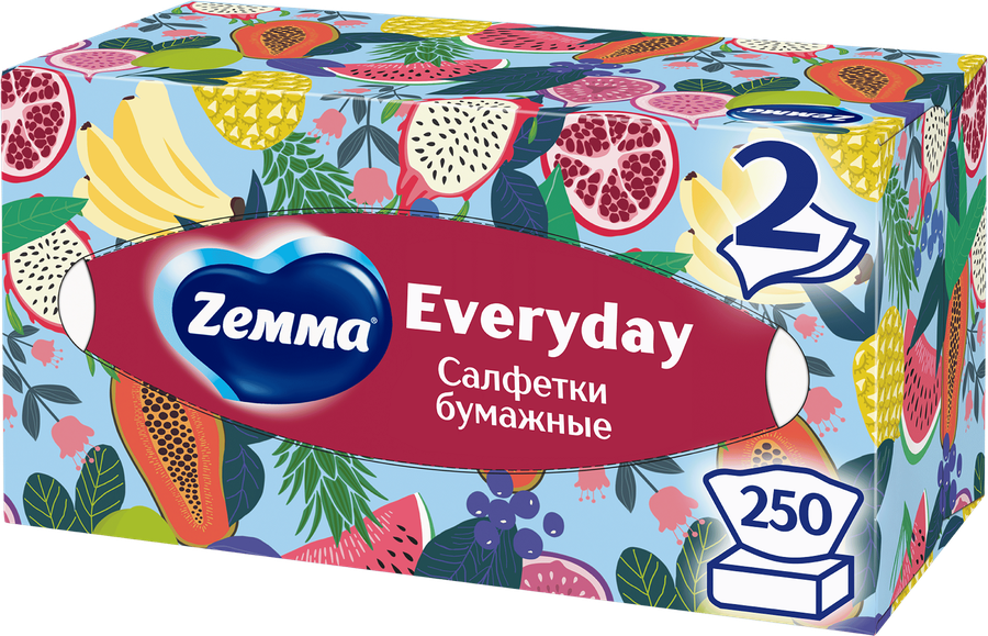 Салфетки бумажные ZEMMA Everyday 2 слоя, в коробке, 250шт, превью