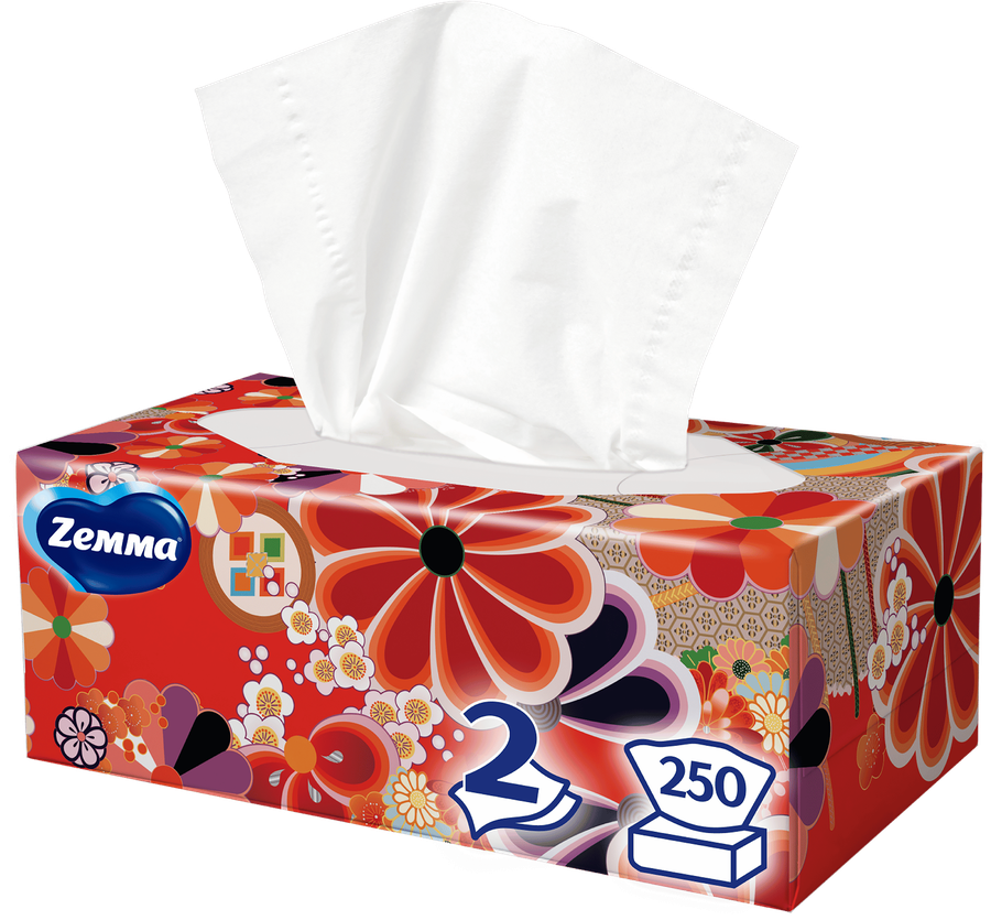 Салфетки бумажные ZEMMA Everyday 2 слоя, в коробке, 250шт, предпросмотр