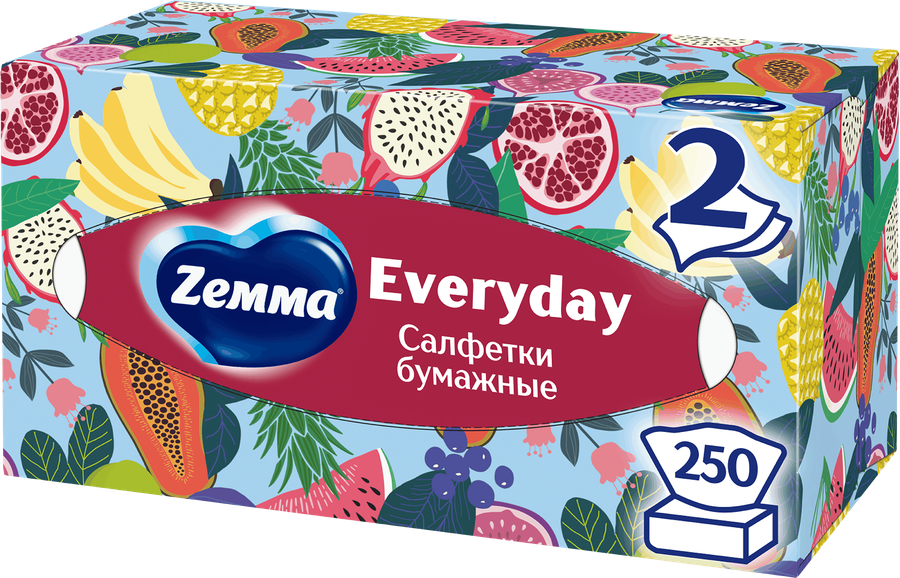 Салфетки бумажные ZEMMA Everyday 2 слоя, в коробке, 250шт, превью