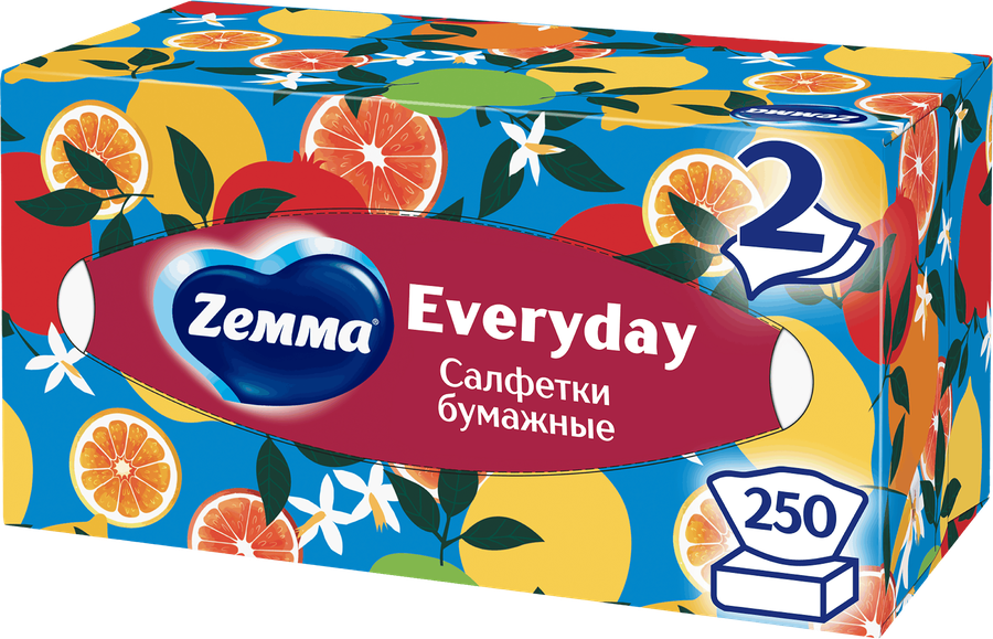 Салфетки бумажные ZEMMA Everyday 2 слоя, в коробке, 250шт, превью