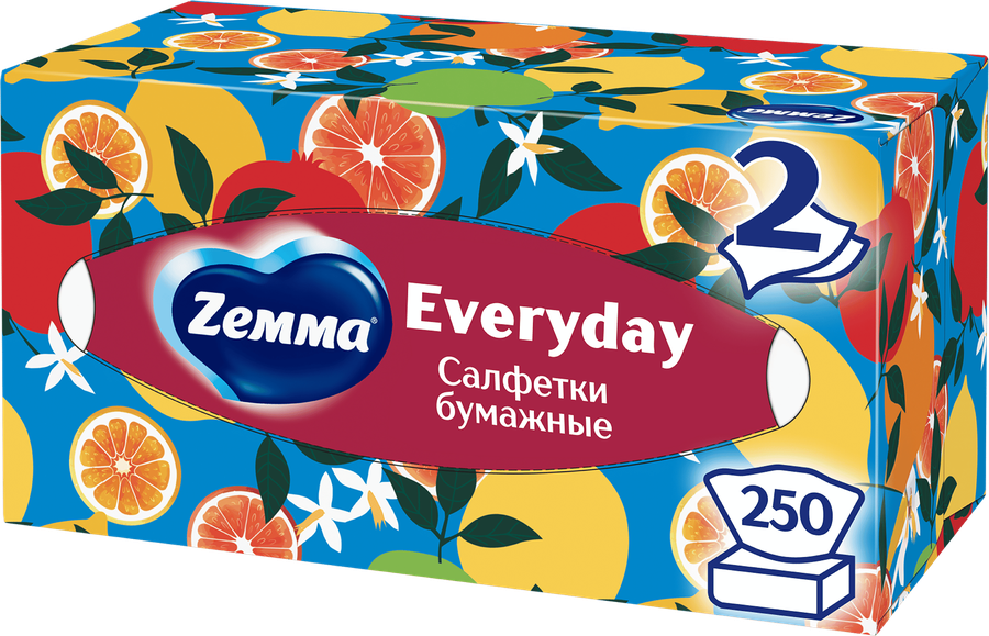 Салфетки бумажные ZEMMA Everyday 2 слоя, в коробке, 250шт, предпросмотр
