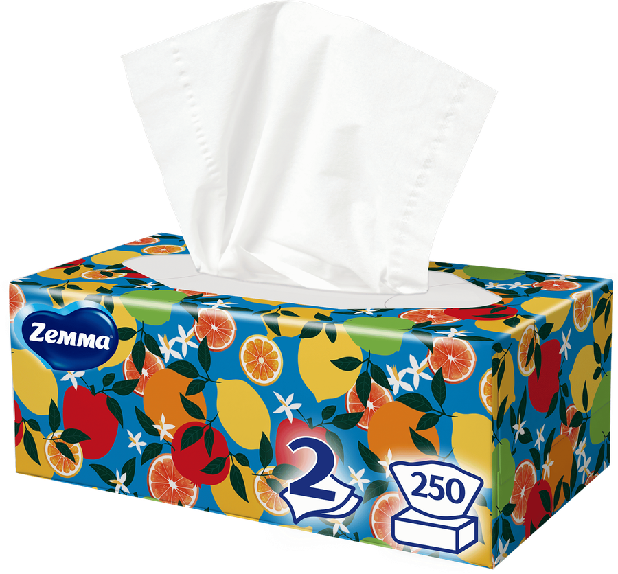 Салфетки бумажные ZEMMA Everyday 2 слоя, в коробке, 250шт, превью