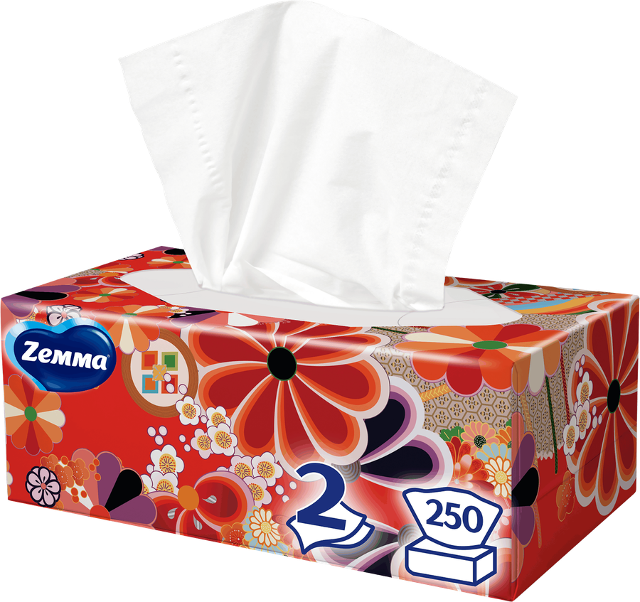 Салфетки бумажные ZEMMA Everyday 2 слоя, в коробке, 250шт, превью