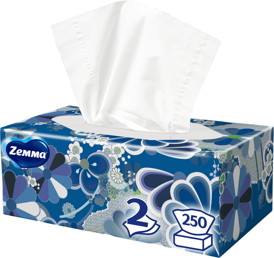 Салфетки бумажные ZEMMA Everyday 2 слоя, в коробке, 250шт, превью