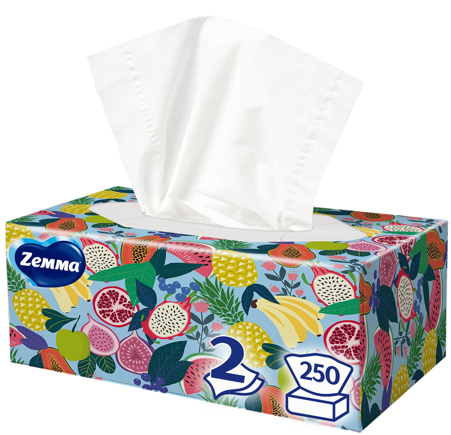 Салфетки бумажные ZEMMA Everyday 2 слоя, в коробке, 250шт, предпросмотр
