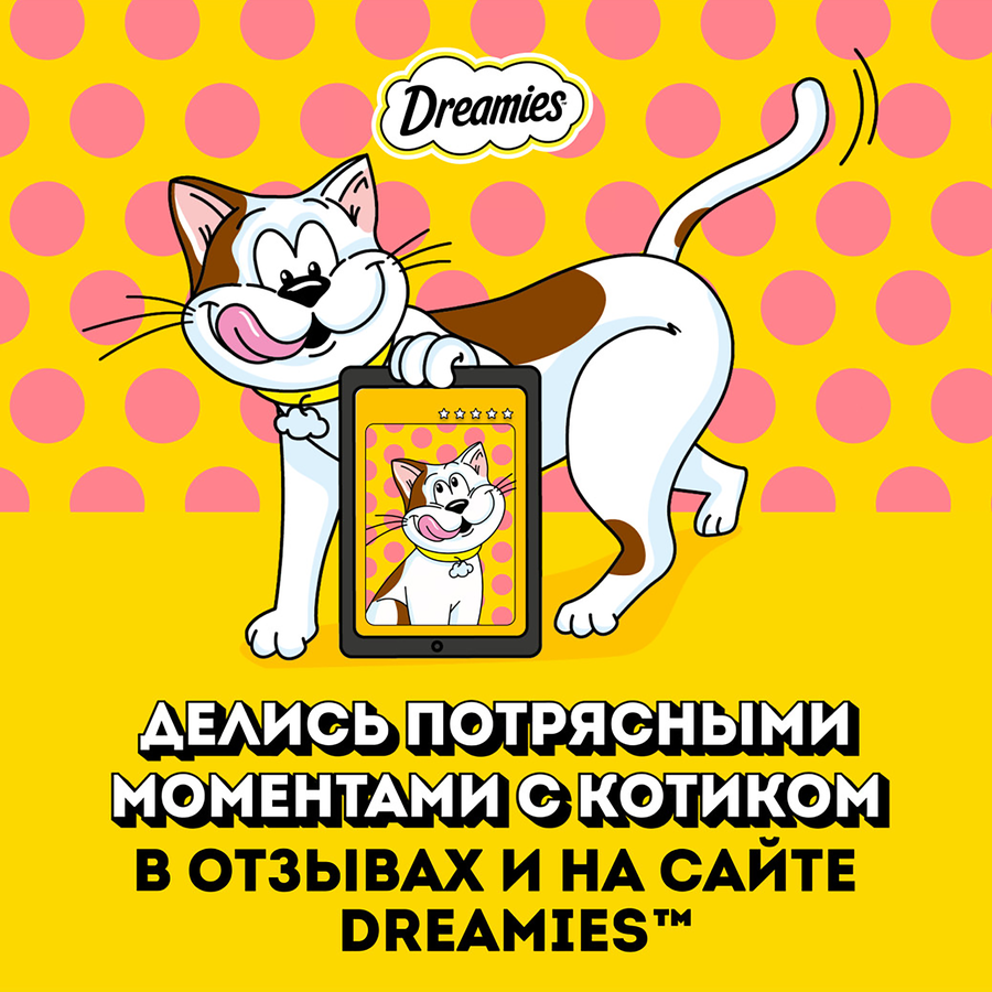 Лакомство для взрослых кошек DREAMIES с добавлением сыра, 140г, превью