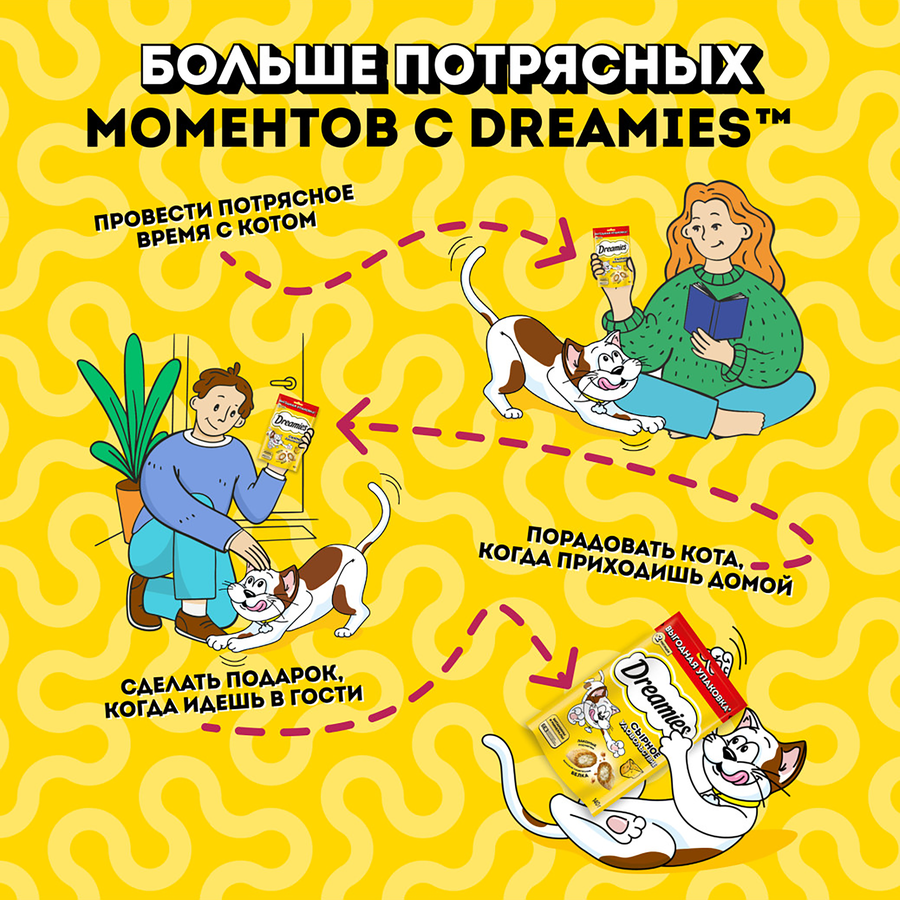 Лакомство для взрослых кошек DREAMIES с добавлением сыра, 140г, предпросмотр